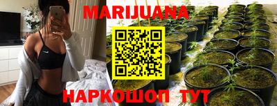 ешки Бердск