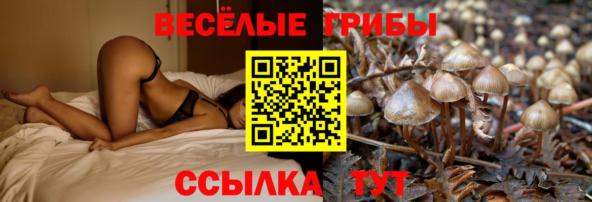Белорецк  Псилоцибиновые грибы прущие грибы  Вход с VPN  Псилоцибиновые грибы Psilocybine cubensis 